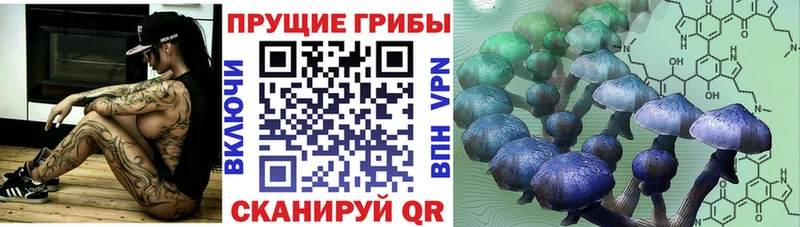 Галлюциногенные грибы мицелий Купить где Кудрово